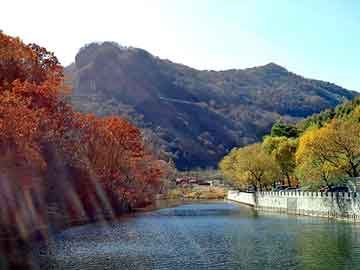 澳门今晚一肖必中特，佛山至山东物流